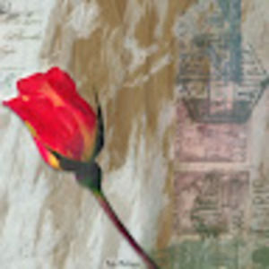 Meet your Posher, Beka